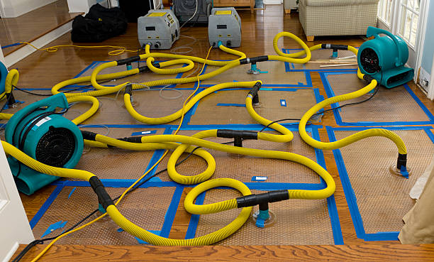 Professional Crawl Space Water Removal technician working in Stuart, IA